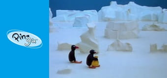 Pingu Sezon 2 Odcinek 19