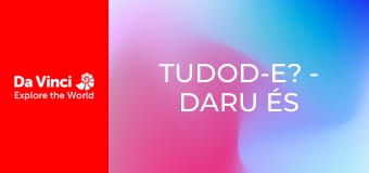 Tudod-e? - Daru és tégla Tudod-e? - Daru és tégla