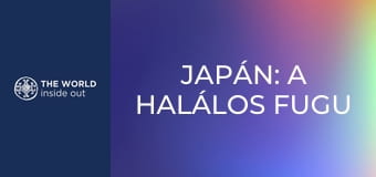 Japán: a halálos fugu gömbhal és a robotok városa.
