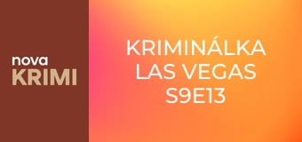 Kriminálka Las Vegas S9E13 - Smaženka a svěženka