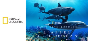 Oceán s Davidem Attenboroughem