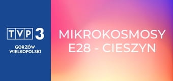 Mikrokosmosy E28 - Cieszyn