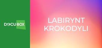 Labirynt krokodyli