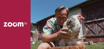 Wojciech Cejrowski. Kura Wojciech Cejrowski. Kura