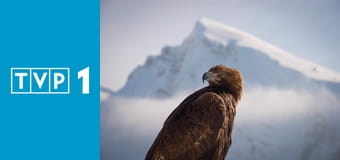 Planeta Ziemia S3E3 - Pustynie i sawanny