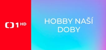 Hobby naší doby