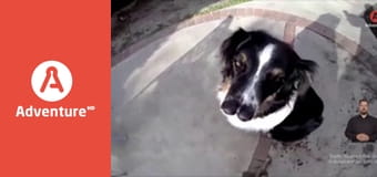 77 TV E17 - Przypadków lotniczych