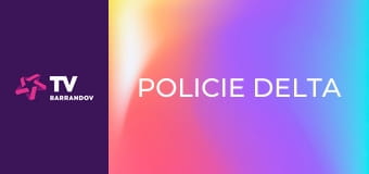 Policie Delta