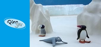Pingu Sezon 4 Odcinek 1