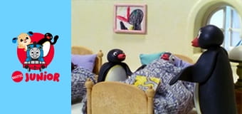 Pingu Sezonul 5 Episodul 23
