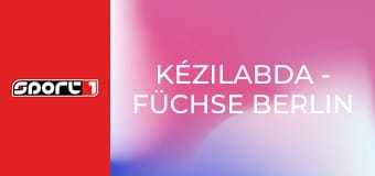 Kézilabda - Füchse Berlin - RN Löwen