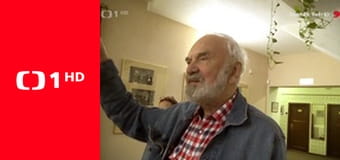 Kuchařská pohotovost - Slepice na paprice