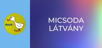 Micsoda látvány Micsoda látvány