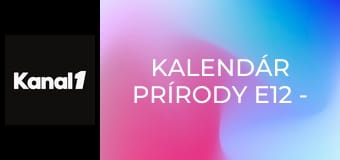 Kalendár prírody E12 - December