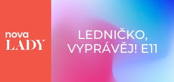 Ledničko, vyprávěj! E11