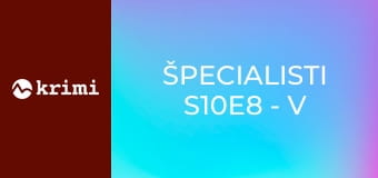 Špecialisti S10E8 - V utajení 1. časť