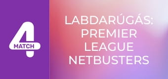 Labdarúgás: Premier League Netbusters