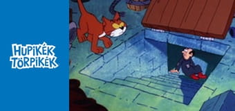 Hókuszpók költözik / Állj ki magadért Kertitörp