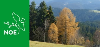 V pohorách po horách - Toulání Lednicko – Valtickým areálem