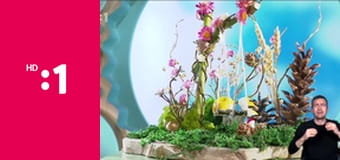 Zázračný ateliér E13