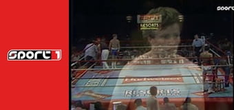 Ökölvívás - Mickey Ward kiütései, ism., HD