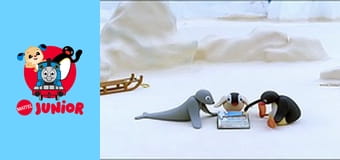 The Pingu Show Sezon 1 Episod 49