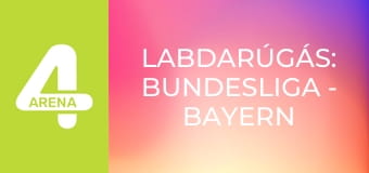 Labdarúgás: Bundesliga - Bayern München – Union Berlin