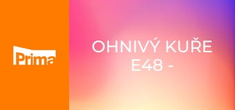 Ohnivý kuře E48 - Všechno je jinak