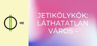 Jetikölykök: Láthatatlan város - Üdv itthon, Everest