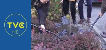 Z lokalnego archiwum