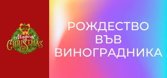 Рождество във виноградника