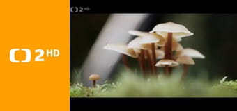 Skryté skvosty S3E1 - Lipnice