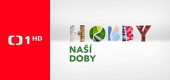 Postřehy odjinud - Káhira očima Štěpána Macháčka – Řeka života