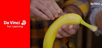 DIY SCI - Believe It or Not DIY SCI - Believe It or Not