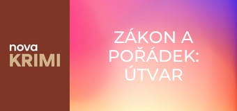 Zákon a pořádek: Útvar pro zvláštní oběti S26E11 - Spoluúčast