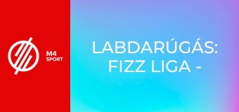 Labdarúgás: Fizz Liga - Puskás Akadémia FC – DVSC mérkőzés