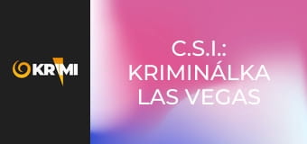 C.S.I.: Kriminálka Las Vegas S4E10 - Zo zúrivosti