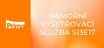 Námořní vyšetřovací služba S13E17 - Po práci