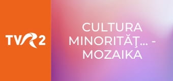 Cultura minorităţilor - Mozaika