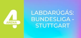 Labdarúgás: Bundesliga - Stuttgart – Dortmund