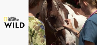 Skvělý dr. Pol S21E8 - Zima jako v psírně!