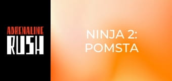 Ninja 2: Pomsta