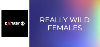 Really Wild Females