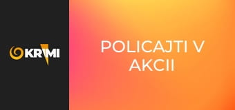 Policajti v akcii
