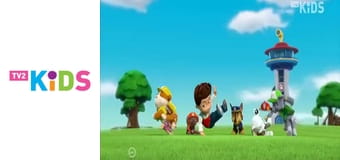 A Mancs őrjárat S4E7 - Pizsamaparti / A karnevál megmentése