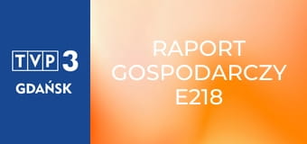 Raport gospodarczy E218