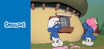 Šmoula učedník / Fešákovo zrcadlo