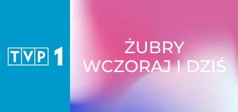 Żubry wczoraj i dziś