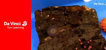 Xploration Awesome Planet - Science Communicators