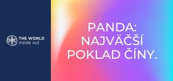 Panda: najväčší poklad Číny. Život v horskej dedine. Čína.